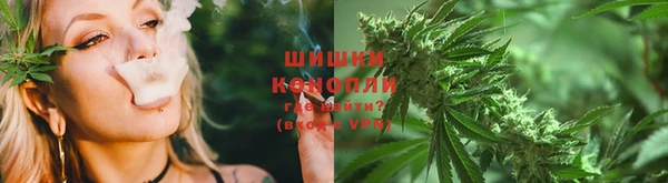 винт Новозыбков