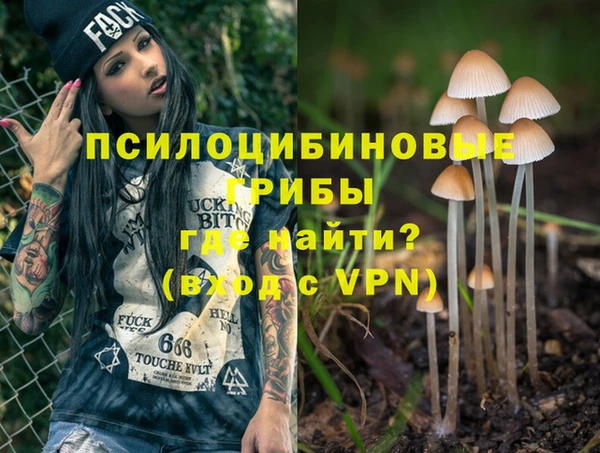 spice Алексеевка