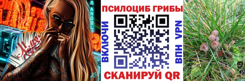 Галлюциногенные грибы Psilocybine cubensis  МЕГА вход  Усть-Лабинск 
