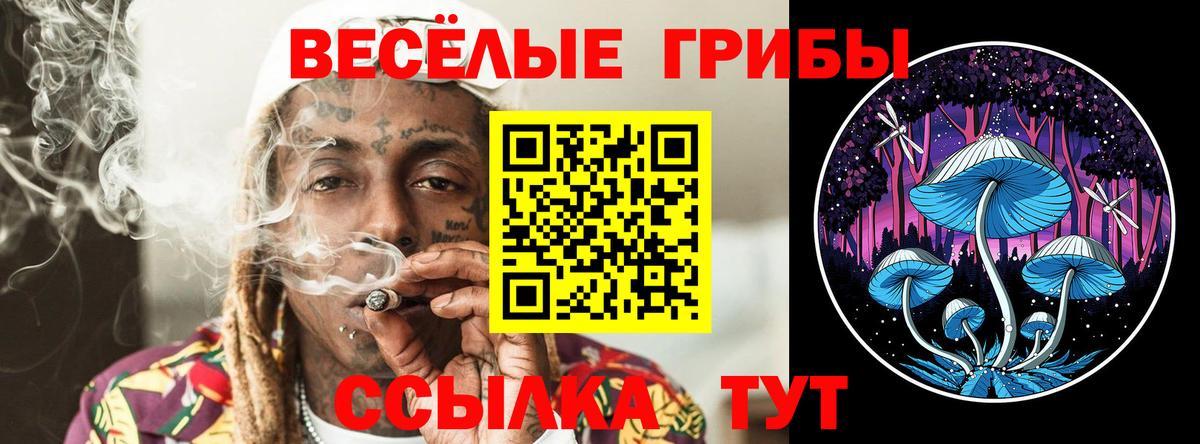 Галлюциногенные грибы мухоморы  Вход с VPN  Галлюциногенные грибы Psilocybine cubensis  Усть-Лабинск 